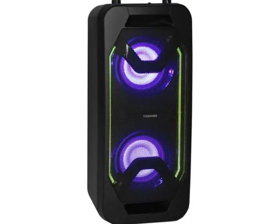  Домашняя аудиосистема TOSHIBA TY-ASC66 