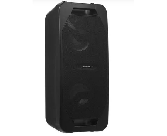  Домашняя аудиосистема TOSHIBA TY-ASC66 