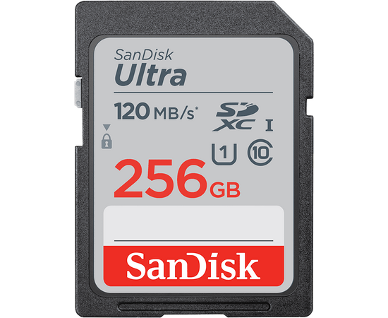  Флеш карта SanDisk 256GB SDSDUN4-256G-GN6IN 