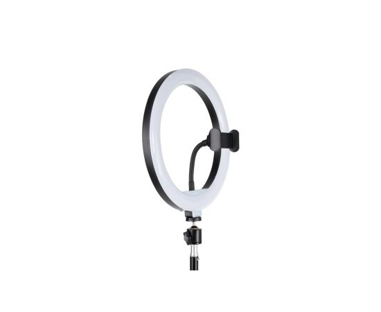  Кольцевая светодиодная лампа RGB с раскладной треногой и штативом HAVIT HV-ST7026 26 см. (комплект две коробки) 