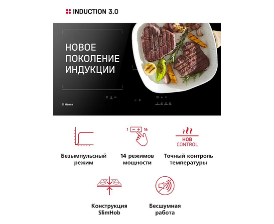  Варочная панель Hansa BHI67006 