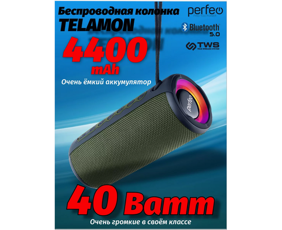  Блютуз колонка Perfeo  "TELAMON" FM, MP3 USB/TF, AUX, TWS, LED, HF, 40Вт, 4400mAh, зелёный 
