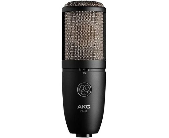  Микрофон AKG P420 3101H00430 