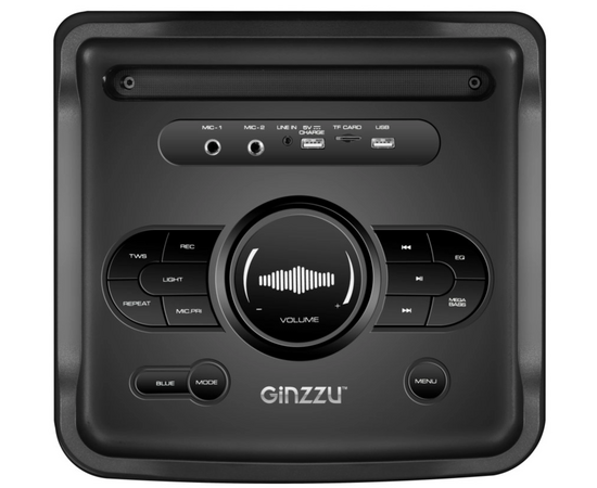  Акустическая система GINZZU GM-205 